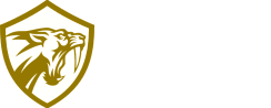 Meta Build Game